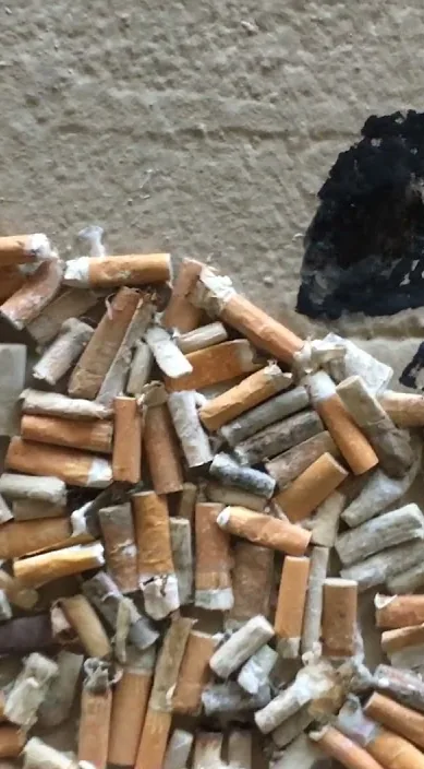 巴塞罗那 (Barcelona) – 街头艺术:Francisco de Pájaro 的 Art Is Trash 视频画面