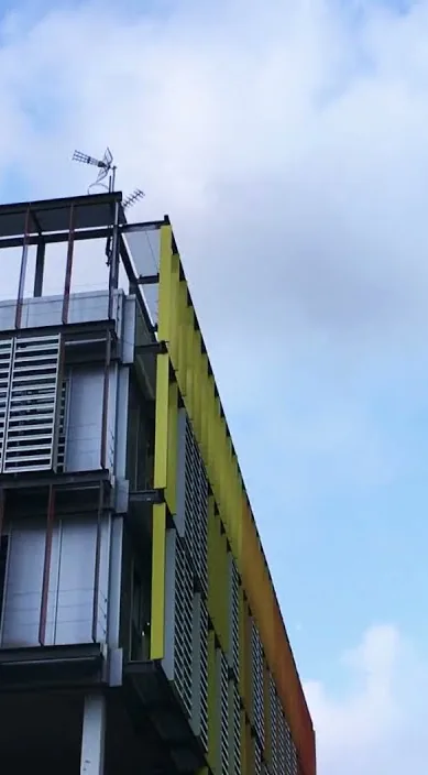 En container fyldt med liv (Contenedor lleno de vida) – gadekunst i Barcelona: scene fra Art Is Trash-videoen af Francisco de Pájaro