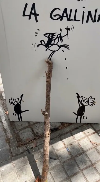 qüestió d’ous. www. és (Cuestión de huevos. www. es) – art urbà a Barcelona: escena del vídeo d'Art Is Trash de Francisco de Pájaro