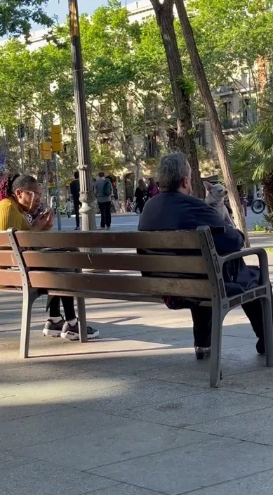 Ce qu'il faut entendre sans vouloir entendre – street art à Barcelone : scène de la vidéo Art Is Trash de Francisco de Pájaro